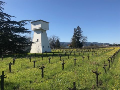 Rossi Estate, Rutherford, Napa Valley