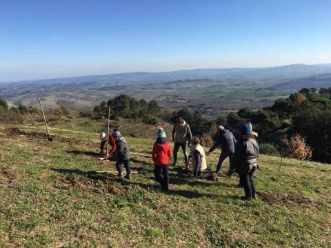 San Donato - planting the vineyard by hand