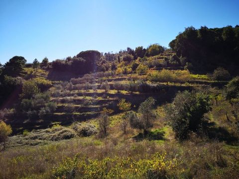 San Donato in Bellaria