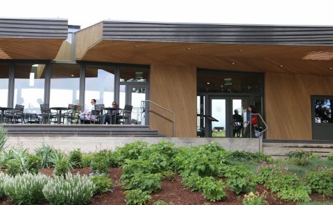 Sokol Blosser tasting room