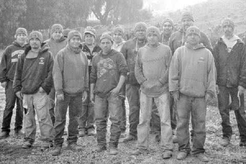 Stolpman's La Cuadrilla vineyard crew