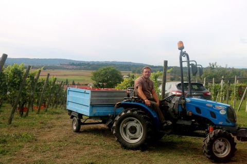 Andrea harvesting at Tappero Merlo