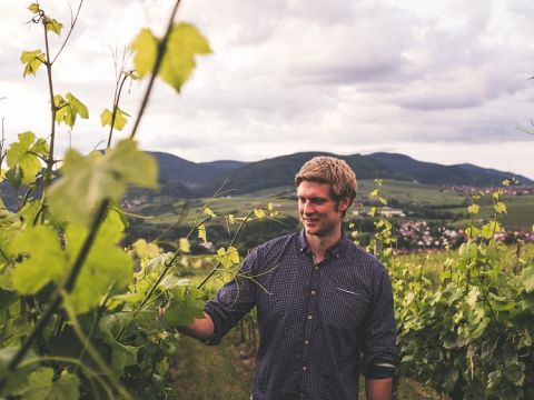 Franz Wehrheim in his Pfalz vineyards