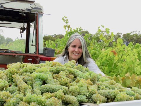 Dr Irina Santiago-Brown and white grapes at Inkwell Wines, McLaren Vale
