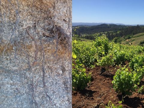 Contrast in Itata granites