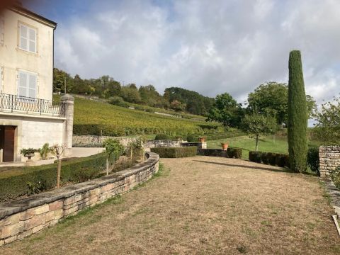 'Lawn' in front of Domaine Marquis d'Angerville in Volnay in October 2020