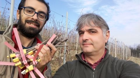 Dr Stefano Raimondi and Savio Daniele with Nascetta cuttings