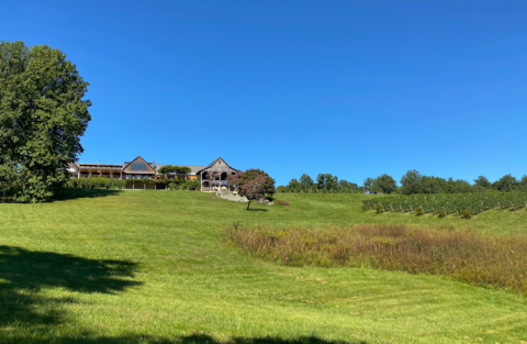 Linden Vineyards, VA, USA