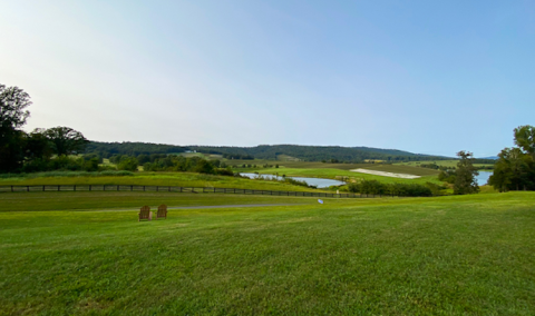The view from the Trump Winery tasting room towards Abermarle House, VA, USA