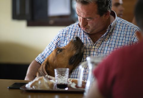 Symington man, meal and dog during the 2020 harvest