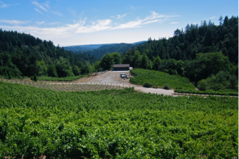 Fogarty Albutom winery