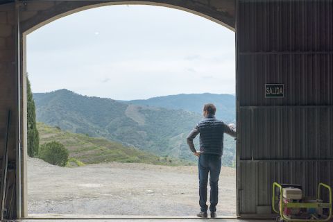 Miguel Torres Jr in Porrera, Priorat