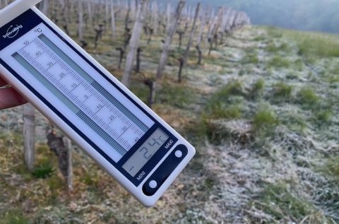 Thermometer at Ch Bauduc, early April 2021