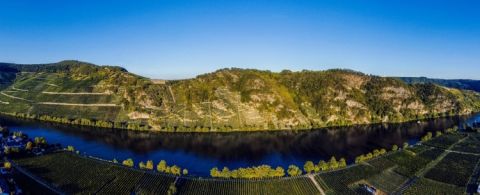 Piesporter Goldtropfchen vineyard panorama