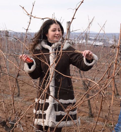 Maris Stoeva of Bratanov winery, Bulgaria