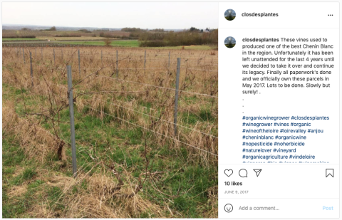 Clos des plantes vineyard