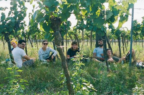 WWC21 Tenison V - 2020 interns team catching their breath between the vines