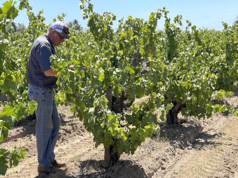 WWC21 McCage M - Bill Stokes at Ray Road 2