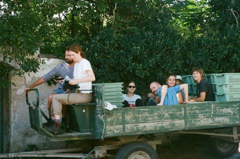 WWC21 Tenison V - harvest time at Gut Oggau