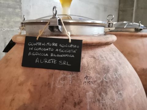 WWC21 Grunwald S - winemaking in terracotta vessel