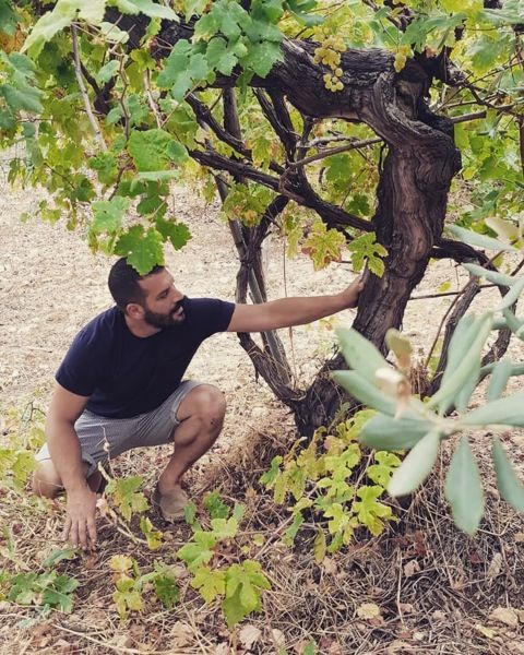 WWC21 Berrou F - Harb with his Merwah vines