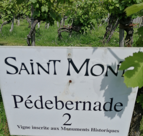 WWC21 McGrath H - historic monument vineyard