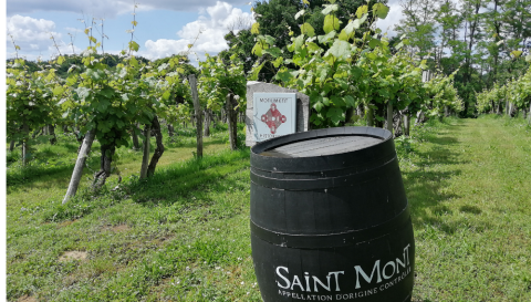 WWC21 McGrath H - tasting history