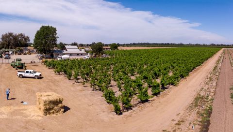 WWC21 Burrows J - Nicolini Ranch aerial