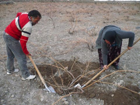 Photo 1 – ‘Opening the eye’ under the vines at Karkın