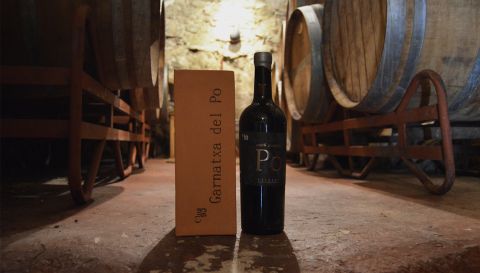 WWC21 Curovic S 1 - Clos93, the cellar