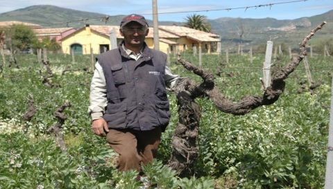 WWC21 Di Guardo G - worker in La Vigna Don Peppino
