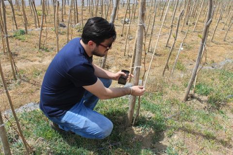 WWC21 Grunwald Sarah - Giorgi Natenadze tending to his baby vines