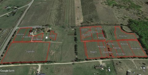 WWC21 Hawkins D - Elm Valley Google Earth