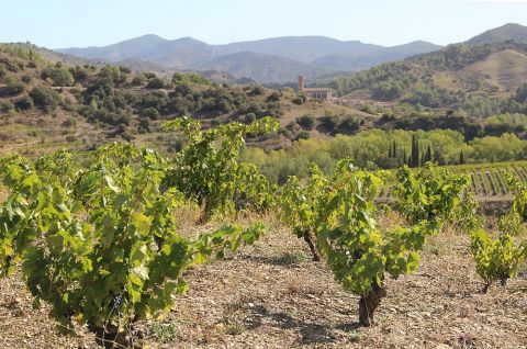 WWC21 Hecker E - Salanques_Poboleda