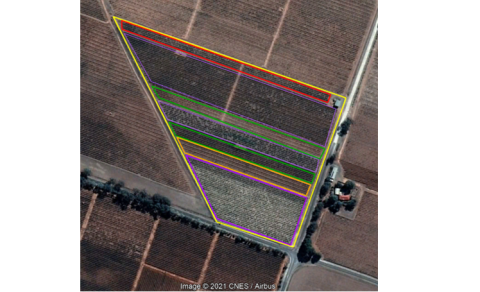 WWC21 Hill K - Watunga Vineyard aerial view