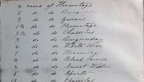 WWC21 Hollander M - A page from Henry Best's planting journal