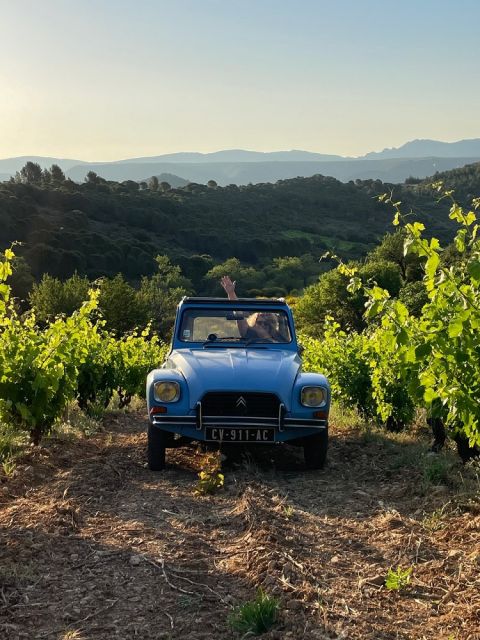 WWC21 Jones K - Katie in the vineyard