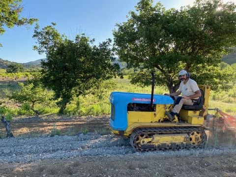 WWC21 Jones K - Isadore's old friend, 'le chenillard'