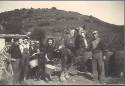 WWC21 Jones K - vieille photo