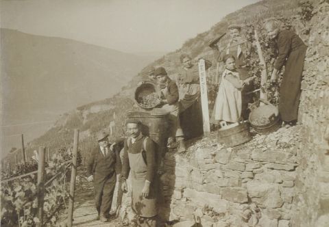 WWC21 Lewis R – Berg Kaisersteinfels, Rheingau, 1904 harvest