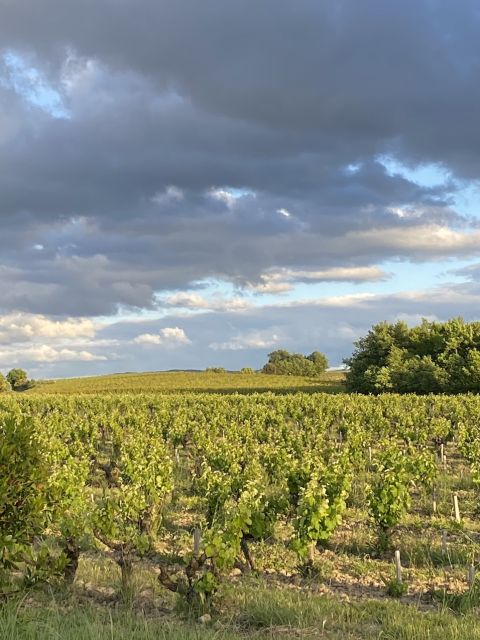 WWC21 Panman C - 5 RivesBlanques-LeJardinMauzac