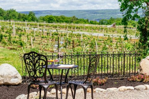 WWC21 Smith J - Eugenia's Garden