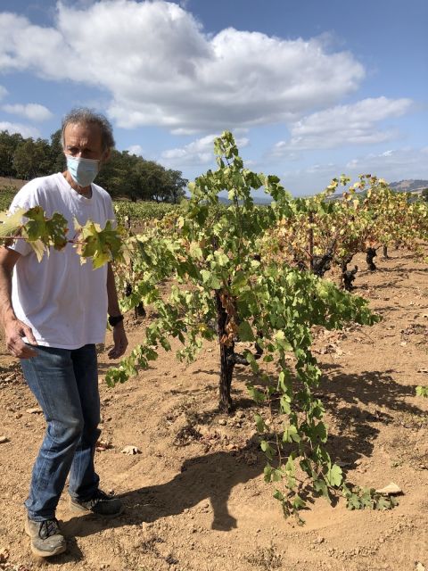 WWC21 Riley J - Fred in the Scherrer Family Vineyard