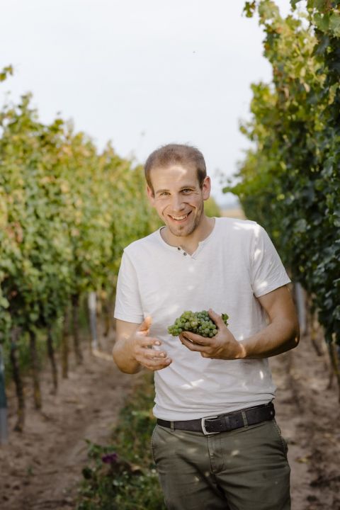 Stefan-Pratsch in his vineyard with grapes, photo Astrid Bartl
