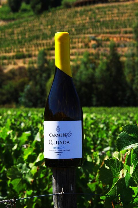 WWC21 Howard C - Carmen Semillon bottle shot