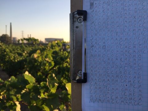 WWC21 Howard C - mapping Evangelho vine by vine