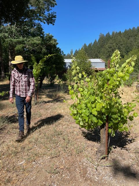 WWC21 Wicks E - Darek Trowbridge with his old vines