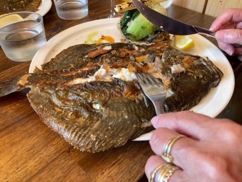 Turbot in Narbonne
