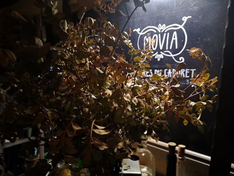 Ljubljana - Movia Wine Bar