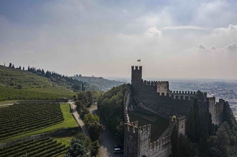 Pieropan La Rocca vineyard viewed from above